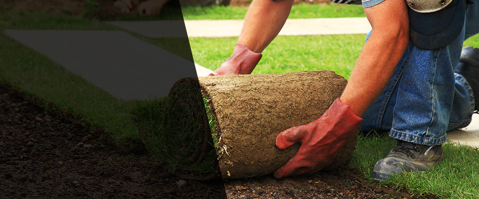 Yazoo City Landscapers